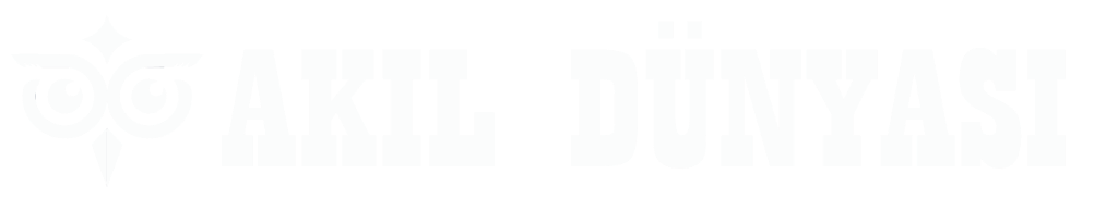 AKIL DÜNYASI Logo